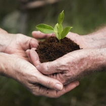 Automação industrial e sustentabilidade: tecnologia a serviço do ecossistema